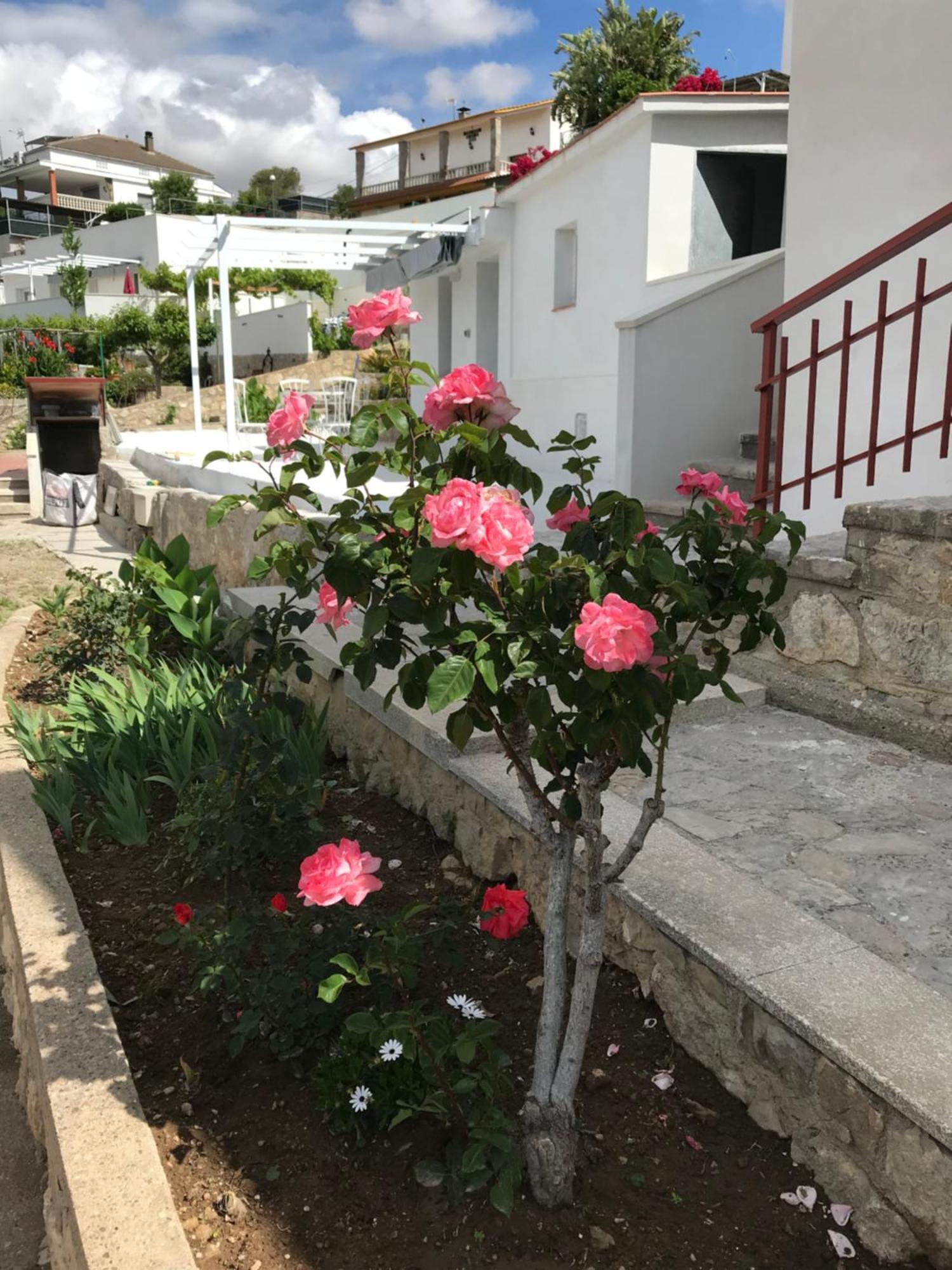 Campagne Luxueuse De Sitges Villa Olivella ภายนอก รูปภาพ